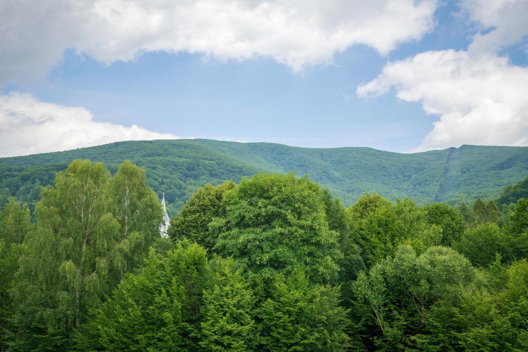 Vovk Gasthaus Sinjak Exteriör bild